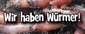 Kompostwürmer kaufen