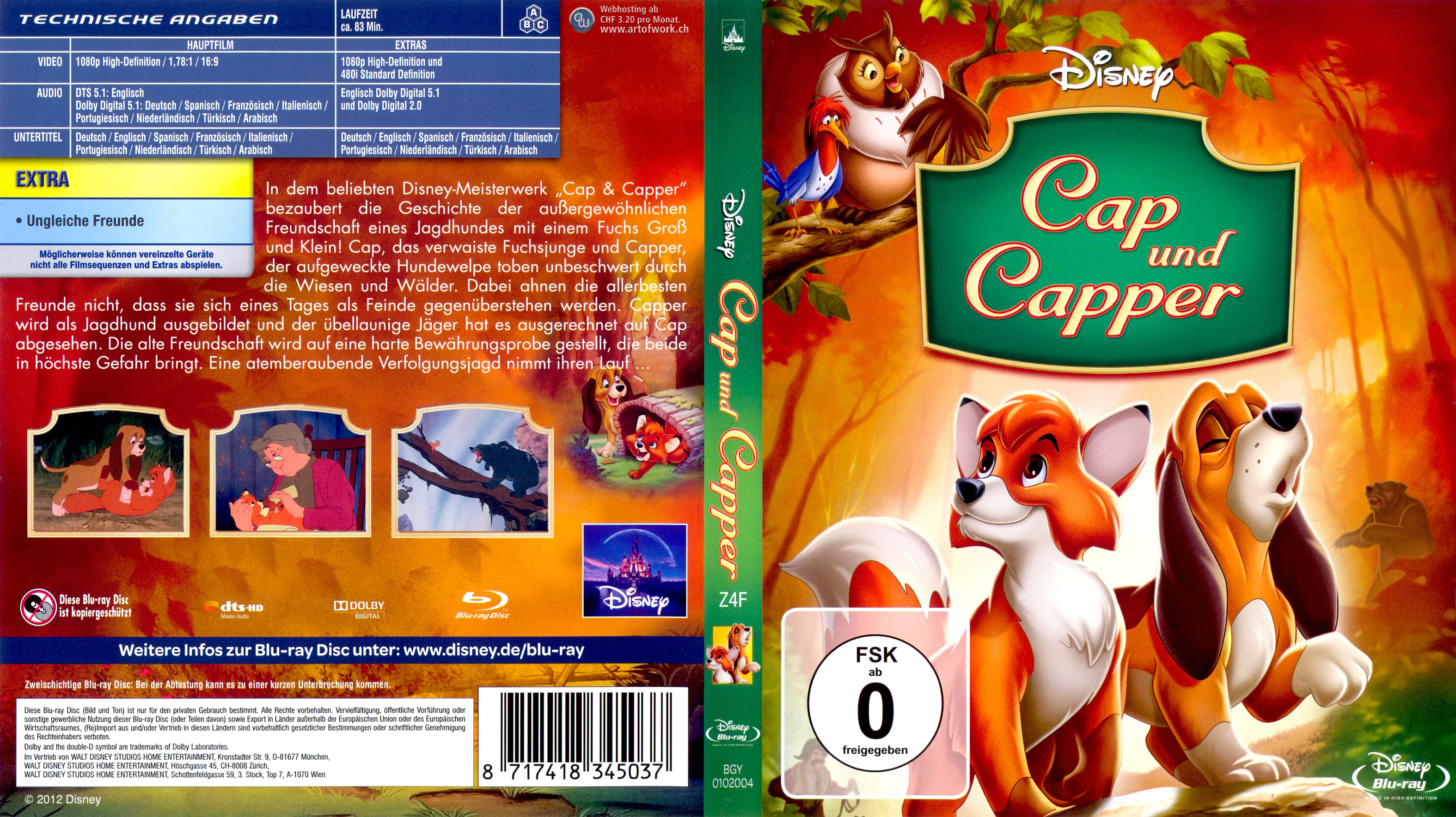 Download Blu-ray Cover hochauflösend